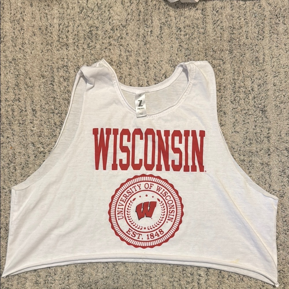 Wisconsin White Crop Top